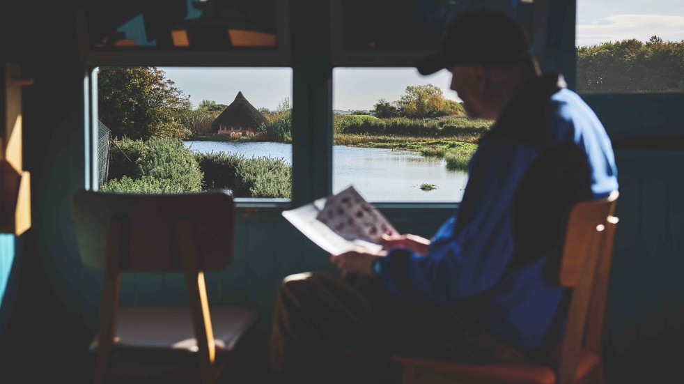 northern ireland birdwatching